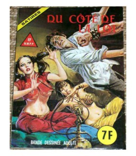 SATIRES 22 - ELVIFRANCE