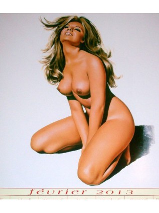 ASLAN Calendrier PIN UP 2013