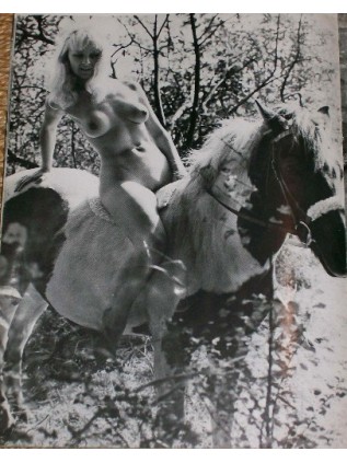 CROQUIS 76 Scandinavian Models