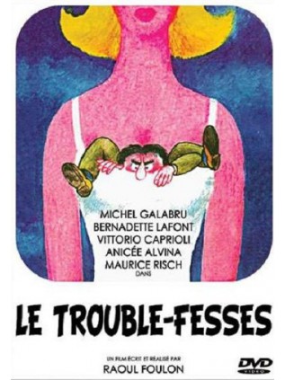LE TROUBLE-FESSES  Anicee Alvina