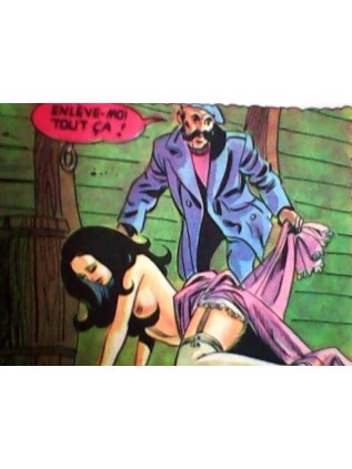 TERRIFICOLOR 24 - Elvifrance