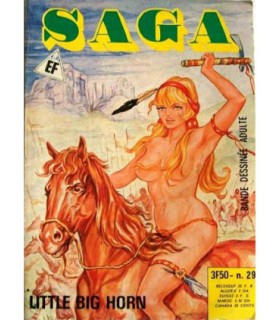 SAGA 29 - ELVIFRANCE