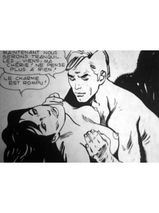 TERROR 13 - ELVIFRANCE