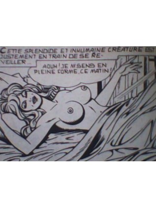 LES DROLESSES 8 - ELVIFRANCE