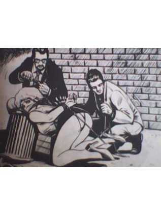 SERIE VERTE  97 - ELVIFRANCE