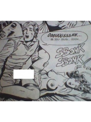 RAPTUS 6 - NOVEL PRESS