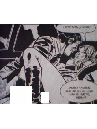 LES QUEUTARDS 19 - ELVIFRANCE