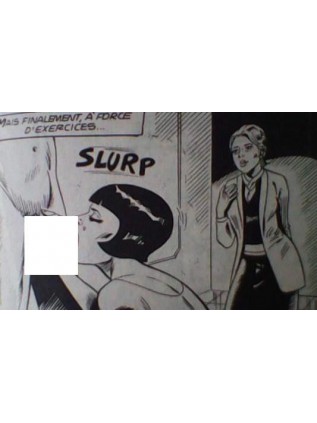 LES QUEUTARDS 19 - ELVIFRANCE