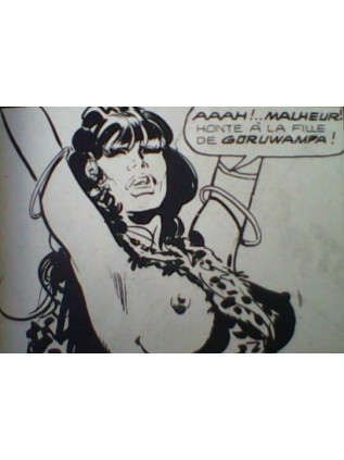 JUNGLA 32 - ELVIFRANCE