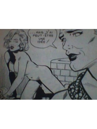 SATIRES 53 - ELVIFRANCE