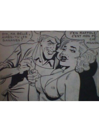 SATIRES 53 - ELVIFRANCE