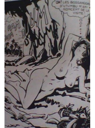 JUNGLA 34 - ELVIFRANCE