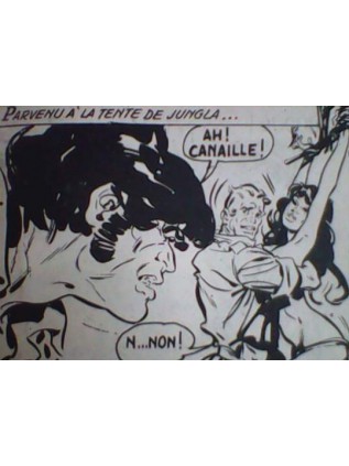 JUNGLA 34 - ELVIFRANCE