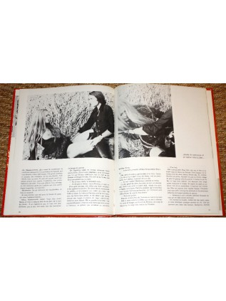 Aimée de... LE VIOL D'AIMEE