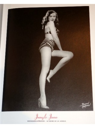 Bernard of Hollywood pin-ups - Guide to pin-up photography