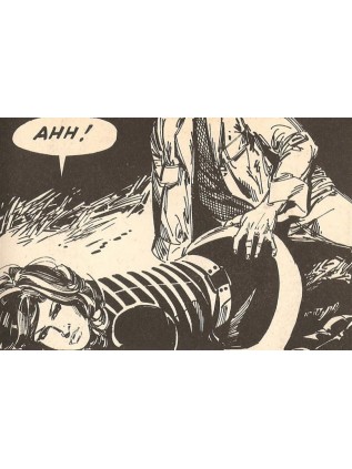 SERIE VERTE  03 - ELVIFRANCE