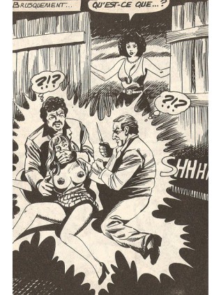 SERIE VERTE  96 - ELVIFRANCE