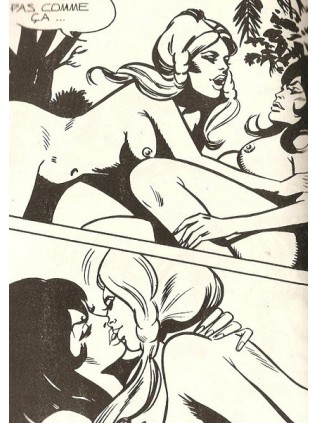 SERIE JAUNE  21 - ELVIFRANCE