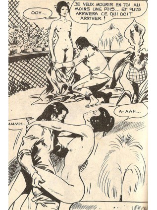 SERIE ROUGE  86 - ELVIFRANCE