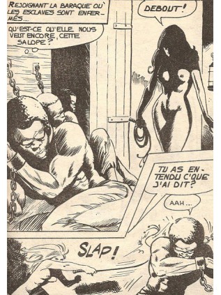 ZORDON 01 - ELVIFRANCE