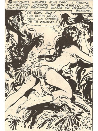 JUNGLA 29 - ELVIFRANCE