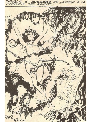 JUNGLA 29 - ELVIFRANCE