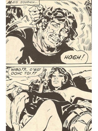 JUNGLA 29 - ELVIFRANCE