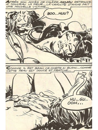 JUNGLA 27 - ELVIFRANCE