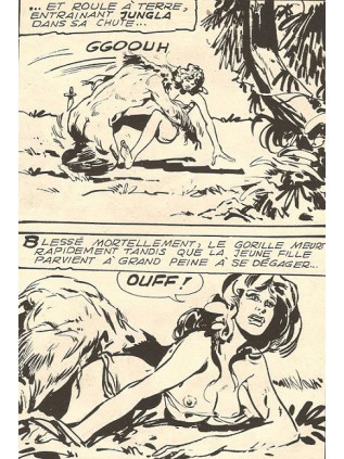 JUNGLA 30 - ELVIFRANCE