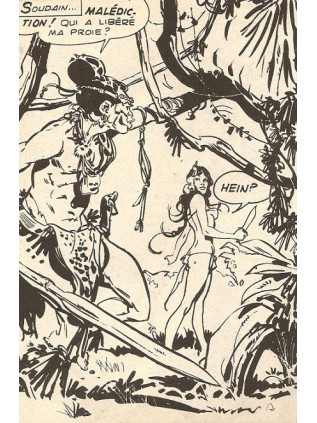 JUNGLA 33 - ELVIFRANCE