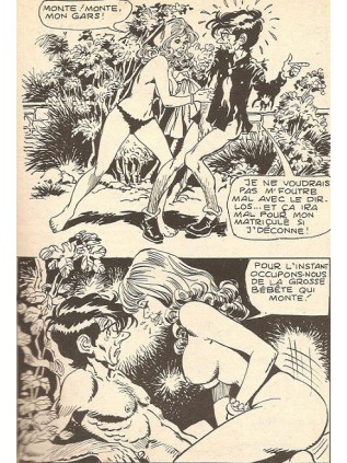 SAM BOT 21 - ELVIFRANCE