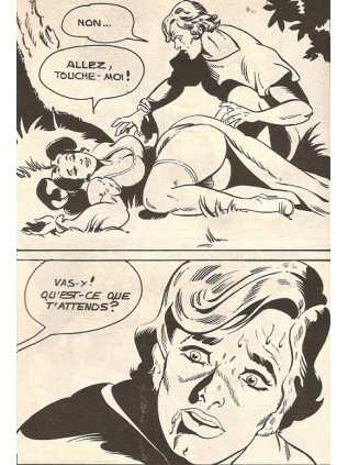 SATIRES 37 - ELVIFRANCE