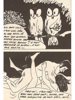 QUEEN KONG 3 - BOIS DE BOULOGNE