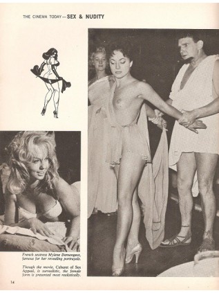 FOCUS ON THE SIN-EMA