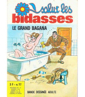 SALUT LES BIDASSES  17 - ELVIFRANCE