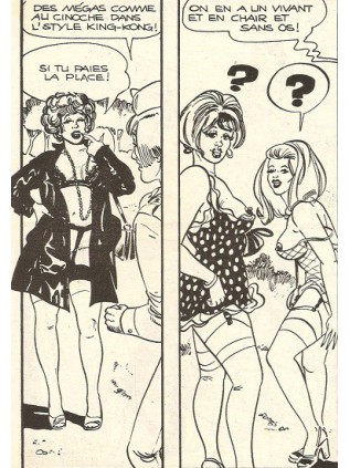 SALUT LES BIDASSES  37 - ELVIFRANCE