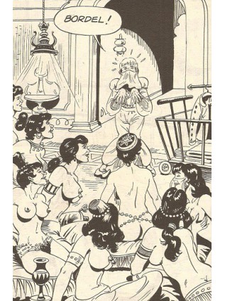 SALUT LES BIDASSES 173 - ELVIFRANCE