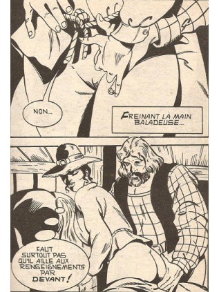 SATIRES 43 - ELVIFRANCE