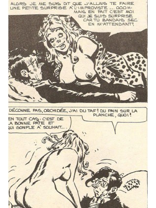 SAM BOT 53 - ELVIFRANCE