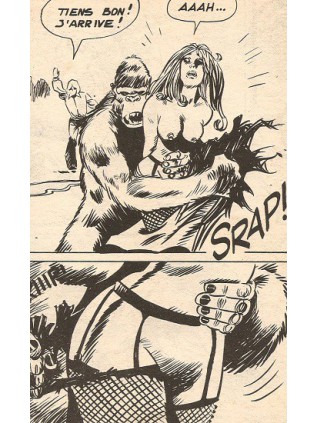 ZORDON 12 - ELVIFRANCE