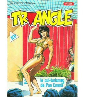 TRIANGLE 04 - NOVEL PRESS