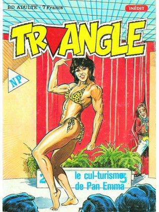 TRIANGLE 04 - NOVEL PRESS