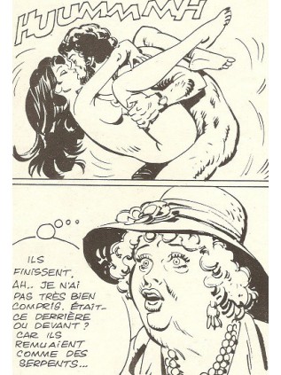 DETECTIVE STRICTEMENT PRIVE 2 - EDITORA