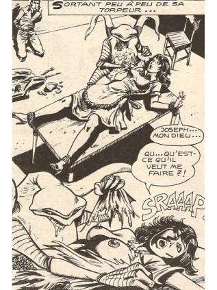 SERIE VERTE  77 - ELVIFRANCE