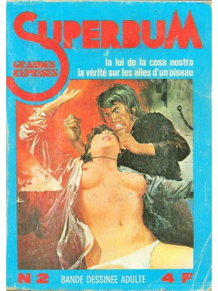 SERIE BLEUE ALBUM 2 - Elvifrance