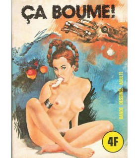 SERIE VERTE  24 - ELVIFRANCE