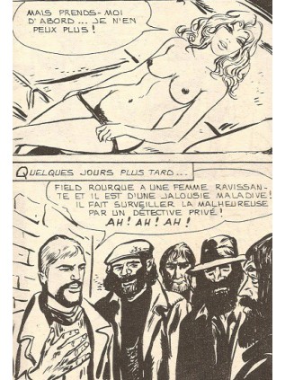 HORS SERIE JAUNE 30 - ELVIFRANCE