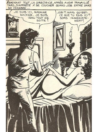 HORS SERIE JAUNE A11 - ELVIFRANCE