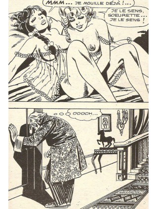 HORS SERIE VERTE A5 - ELVIFRANCE