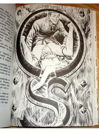 LES MEMOIRES D'UNE PUCE Maude Ehrling, Bob Saint Martin